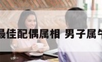 男属牛的最佳配偶属相 男子属牛最佳配偶