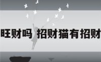 招财猫能旺财吗 招财猫有招财的作用吗