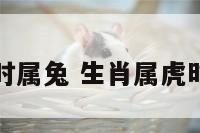 年属虎时属兔 生肖属虎时辰属兔
