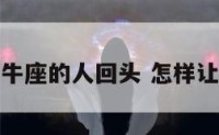 如何让金牛座的人回头 怎样让金牛回头