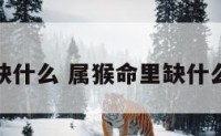 属猴命里缺什么 属猴命里缺什么用什么好
