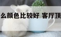 客厅顶用什么颜色比较好 客厅顶用什么颜色比较好看