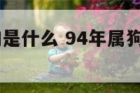 94年开运物是什么 94年属狗的幸运植物是什么