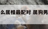 属狗男与什么属相最配对 属狗男和什么属相婚配最好