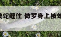 梦见身体被蛇缠住 做梦身上被蛇缠身,是咋回事