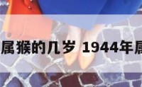 1944年属猴的几岁 1944年属猴多大