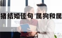 属狗狗和属猪结婚佳句 属狗和属猪的结婚防什么属相