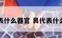艮代表什么器官 艮代表什么意思