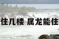 属龙的可以住几楼 属龙能住多少层最好