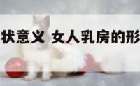 女人乳房形状意义 女人乳房的形状代表什么个性