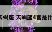 第4宫天蝎座 天蝎座4宫是什么意思