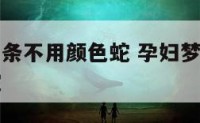 孕妇梦到几条不用颜色蛇 孕妇梦到几条不用颜色蛇的蛇