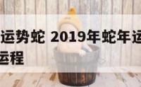 2019年运势蛇 2019年蛇年运势及运程每月运程