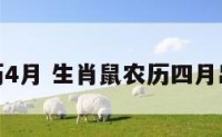 属鼠生农历4月 生肖鼠农历四月出生好不好