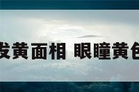 眼瞳发黄面相 眼瞳黄色面相