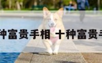 12种富贵手相 十种富贵手相