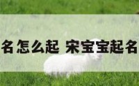 宋宝宝起名怎么起 宋宝宝起名大全男孩