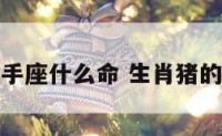 属猪射手座什么命 生肖猪的射手座
