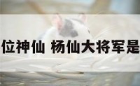 杨仙家是哪位神仙 杨仙大将军是保佑什么的