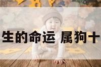 属狗十一月出生的命运 属狗十一月出生好吗