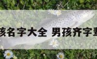 带齐男孩名字大全 男孩齐字辈的名字