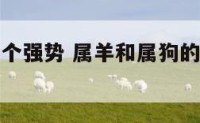 属狗与羊那个强势 属羊和属狗的人哪个厉害些