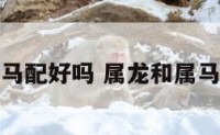 属龙和属马配好吗 属龙和属马能婚配吗