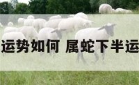 属蛇下半运势如何 属蛇下半运势如何看