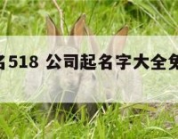 公司起名518 公司起名字大全免费,取名无忧!