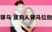 属狗人的驿马 属狗人驿马位放什么最旺