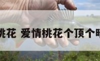 爱情与桃花 爱情桃花个顶个暗示什么