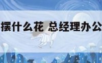 经理办公室摆什么花 总经理办公室摆什么植物