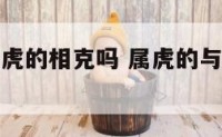 属虎的与属虎的相克吗 属虎的与属虎的相克吗婚姻如何