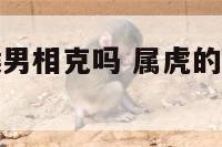 属虎女和属猴男相克吗 属虎的女和属猴男的配吗