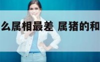 属猪的和什么属相最差 属猪的和什么属相最不好