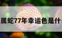 属蛇7 属蛇77年幸运色是什么颜色