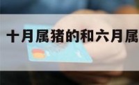 十月属猪的 十月属猪的和六月属兔的要蛇孩子好吗