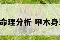 甲木身弱命理分析 甲木身弱2022年