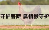 属猴守护菩萨 属相猴守护菩萨