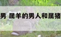 属羊配属猪男 属羊的男人和属猪的女人相配吗?