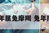 2018年属兔摩羯 兔年摩羯座