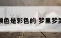 做梦颜色是彩色的 梦里梦到颜色