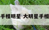 手相明星 大明星手相