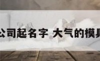 制造模具公司起名字 大气的模具公司名字