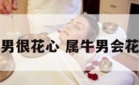 属牛男很花心 属牛男会花心吗