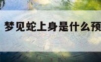 蛇上身解梦 梦见蛇上身是什么预兆是什么意思