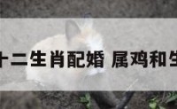属鸡与十二生肖配婚 属鸡和生肖最配