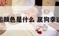 属狗辛运颜色是什么 属狗幸运的颜色