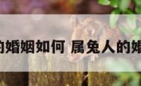 6属兔的婚姻如何 属兔人的婚姻如何