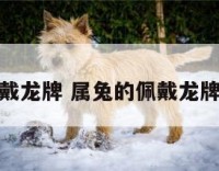 属兔佩戴龙牌 属兔的佩戴龙牌好不好